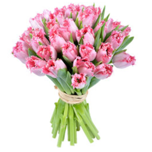 Flowers Lebanon-Avedis-Product Image