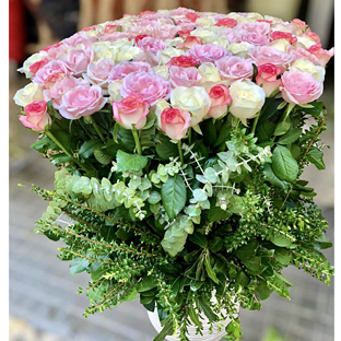 Flowers Lebanon-BACHIR-Product Image