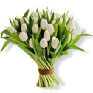 Flowers Lebanon-Batiste-Product Image