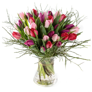 Flowers Lebanon-Calissy-Product Image