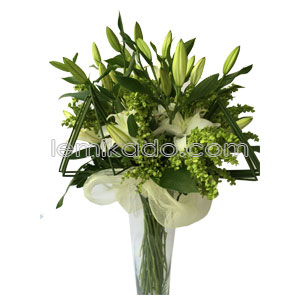 Flowers Lebanon-Veronica-Product Image