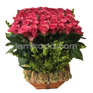 Flowers Lebanon-Sagittarius-Product Image