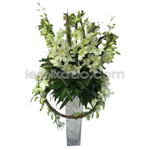 Flowers Lebanon-Tayma-Product Image