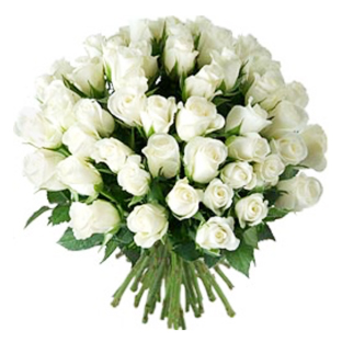 Flowers Lebanon-Dolly-Product Image