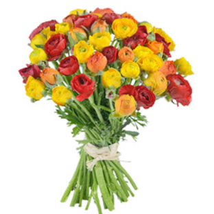 Flowers Lebanon-Floran-Product Image