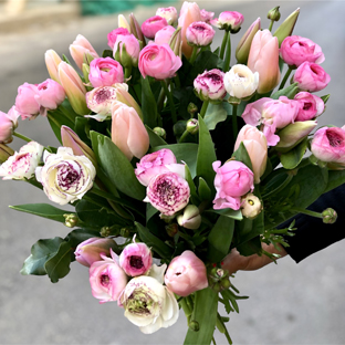 Flowers Lebanon-JUDSIA-Product Image