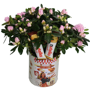 Flowers Lebanon-PRESCILLA-Product Image